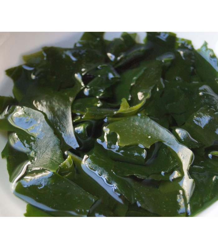 Wakame Seaweed (Korea)